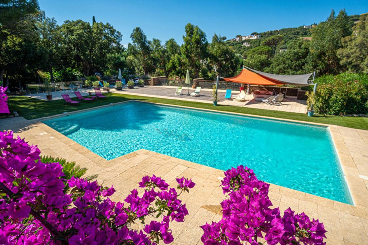 סן-מקסים La Villa Romeo, Piscine Et Spa מראה חיצוני תמונה