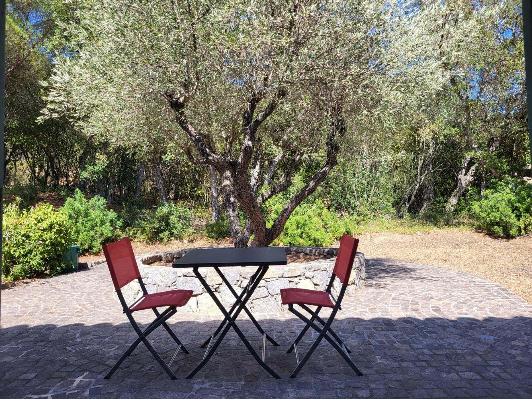 סן-מקסים La Villa Romeo, Piscine Et Spa מראה חיצוני תמונה